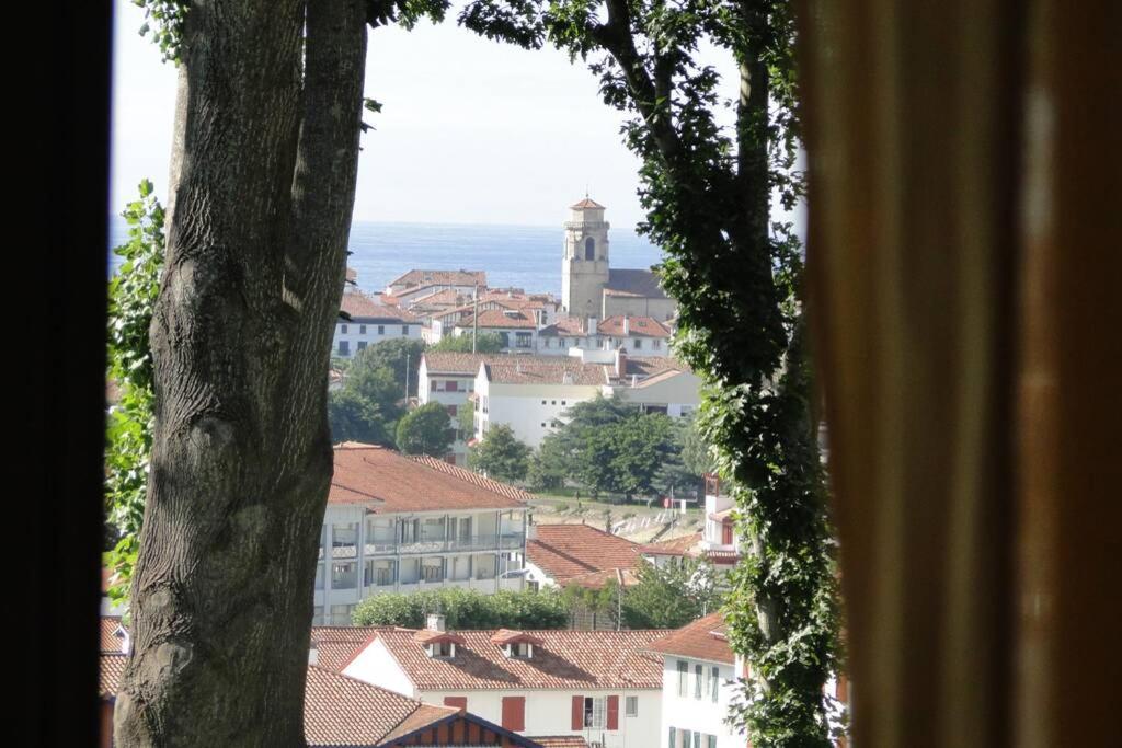 Ciboure:T2, Proximite Golf Et Plages, Vue Sur Mer Exteriör bild
