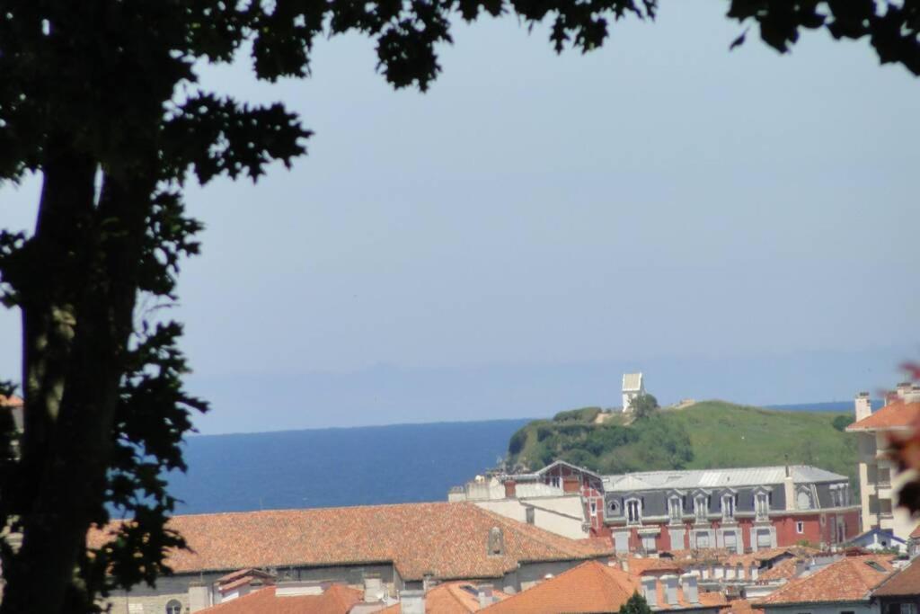 Ciboure:T2, Proximite Golf Et Plages, Vue Sur Mer Exteriör bild