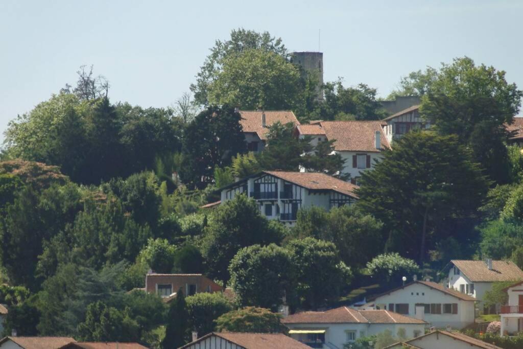 Ciboure:T2, Proximite Golf Et Plages, Vue Sur Mer Exteriör bild